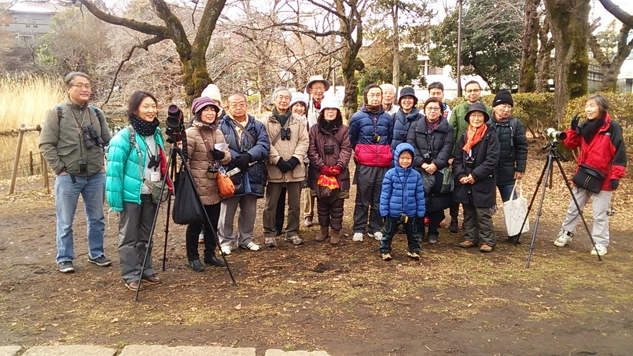 野鳥観察会　”善福寺公園の自然と冬鳥”